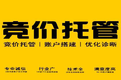 谷歌竞价案例：家居行业广告投放技巧解析